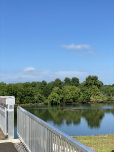 A walking bridge crossing the French Broad River 