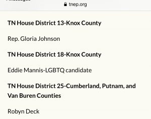 screenshot of the TNEP endorsement that identifies Mannis 
