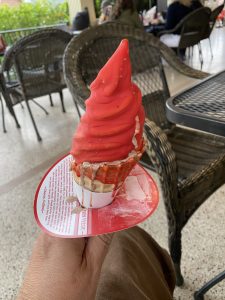 Chocolate ice cream cone dipped in Cherry was MY ice cream treat